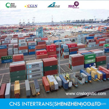 Shipping From Shenzhen/Guangzhou/Shanghai/Ningbo to Suape/Pecem